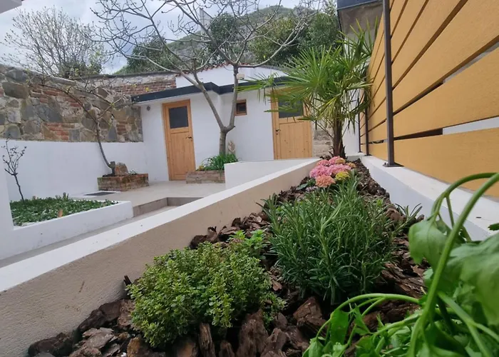 Rozalija House - Pocitniska Hisa Z Vrtom Ob Reki Soci V Solkanu *